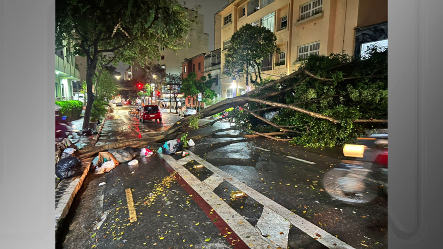 São Paulo Sob as Águas: Reflexões e Lições das Chuvas Torrenciais