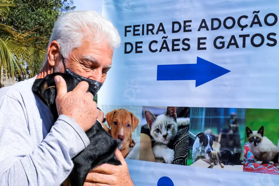 Feira de adoção de cães e gatos acontece neste sábado em São José dos Campos