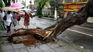 São Paulo Sob as Águas: Reflexões e Lições das Chuvas Torrenciais